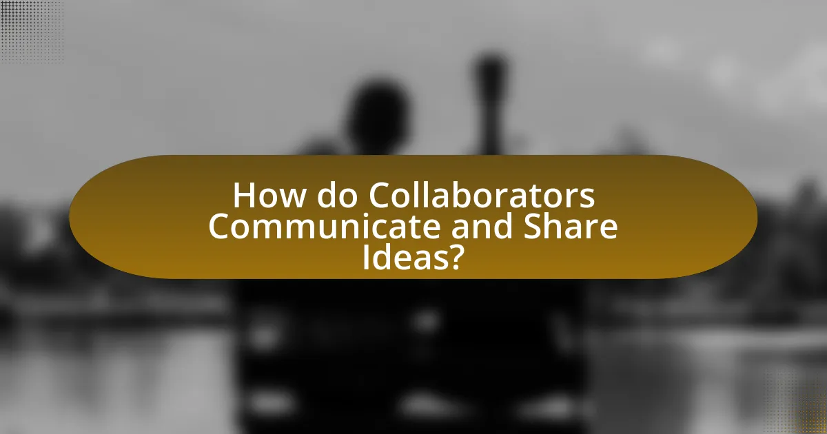 How do Collaborators Communicate and Share Ideas?